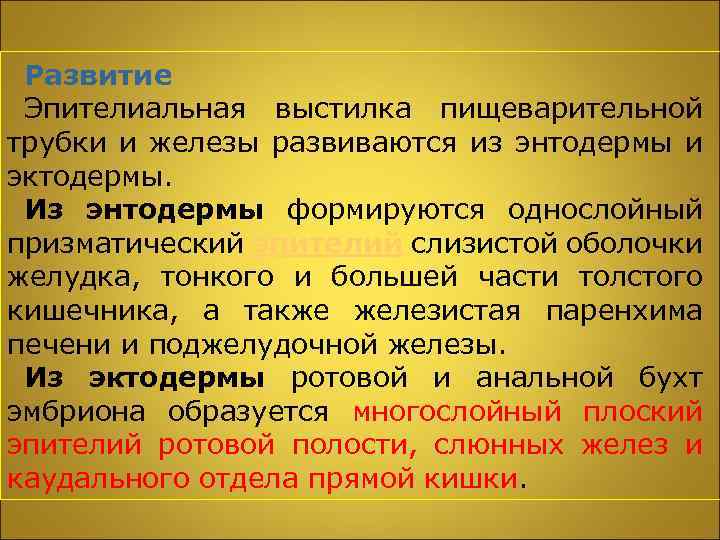 Развитие Эпителиальная выстилка пищеварительной трубки и железы развиваются из энтодермы и эктодермы. Из энтодермы