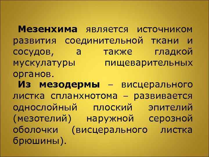Мезенхима является источником развития соединительной ткани и сосудов, а также гладкой мускулатуры пищеварительных органов.