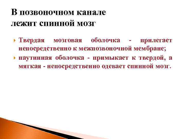 В позвоночном канале лежит спинной мозг Твердая мозговая оболочка - прилегает непосредственно к межпозвоночной