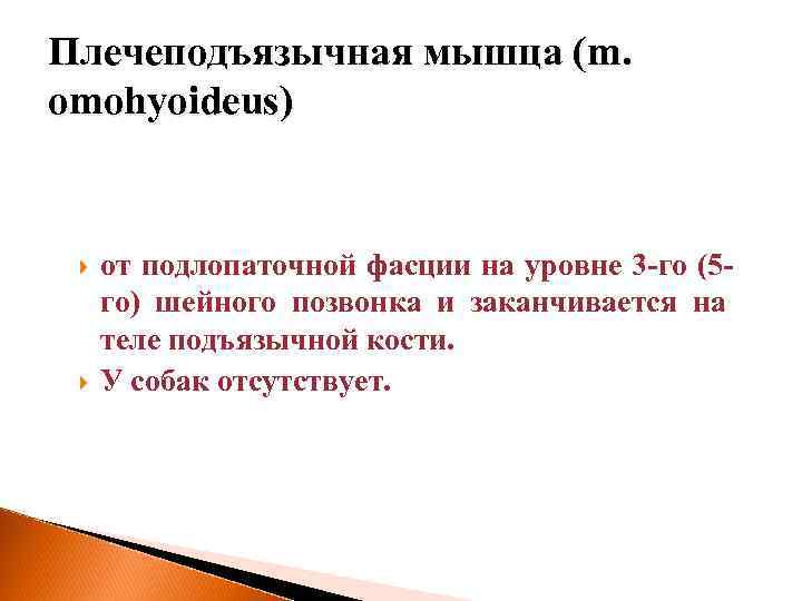 Плечеподъязычная мышца (m. omohyoideus) от подлопаточной фасции на уровне 3 -го (5 го) шейного
