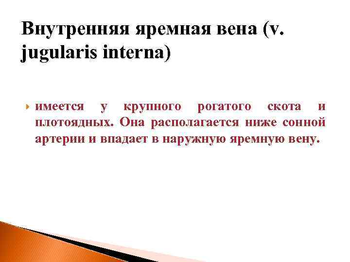 Внутренняя яремная вена (v. jugularis interna) имеется у крупного рогатого скота и плотоядных. Она