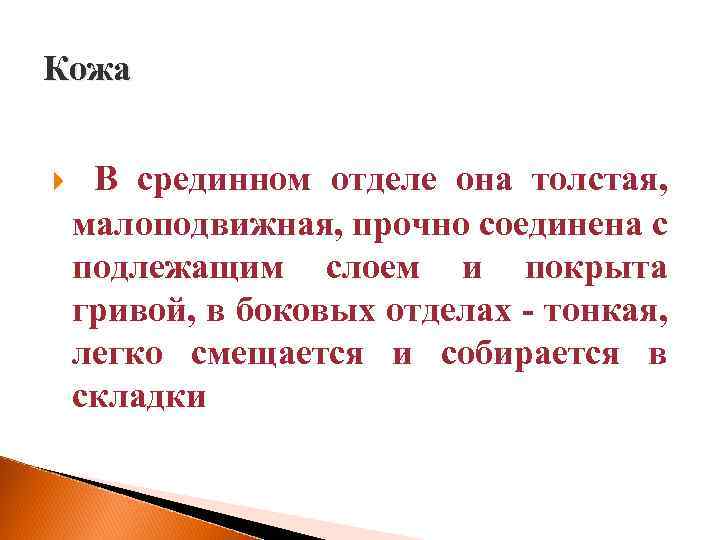 Кожа В срединном отделе она толстая, малоподвижная, прочно соединена с подлежащим слоем и покрыта