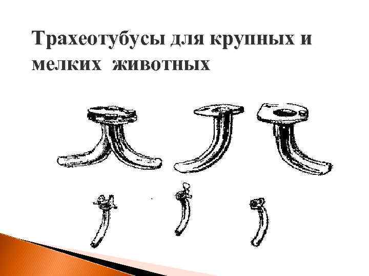 Трахеотубусы для крупных и мелких животных 