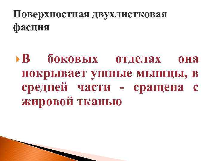 Поверхностная двухлистковая фасция В боковых отделах она покрывает ушные мышцы, в средней части -