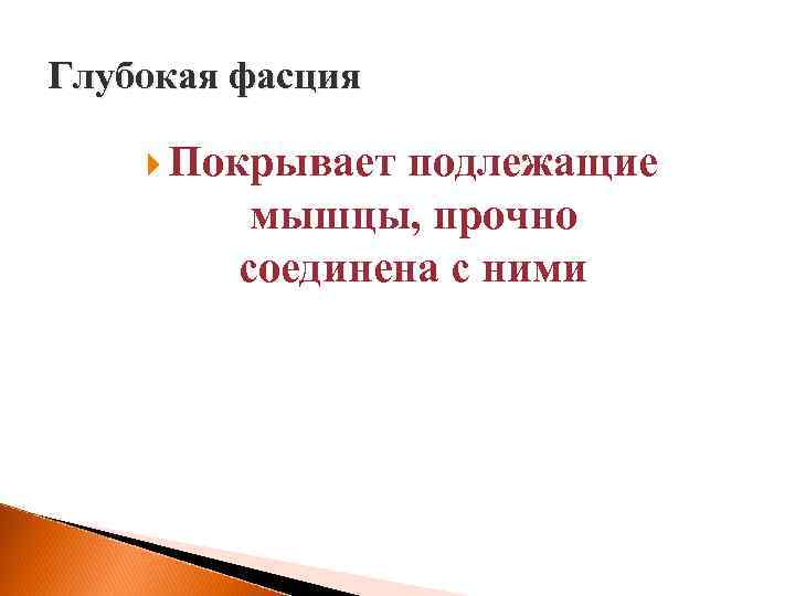 Глубокая фасция Покрывает подлежащие мышцы, прочно соединена с ними 