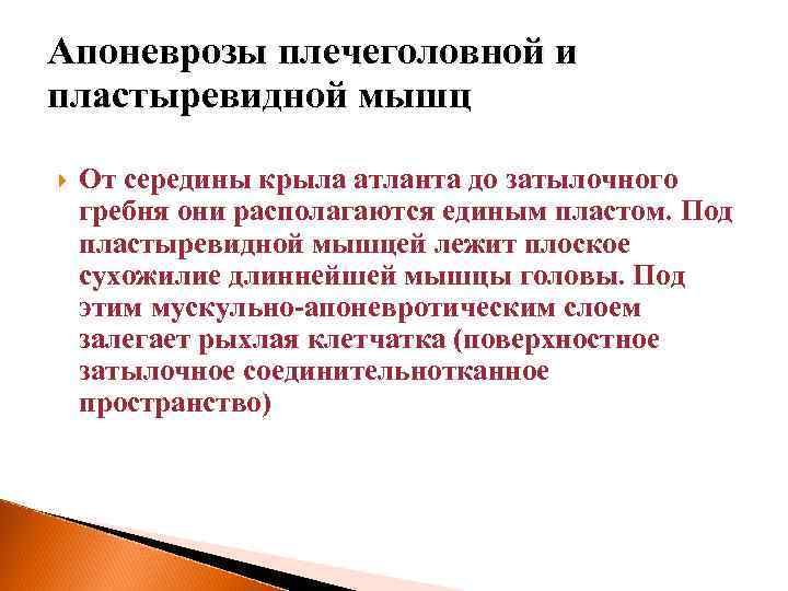 Апоневрозы плечеголовной и пластыревидной мышц От середины крыла атланта до затылочного гребня они располагаются