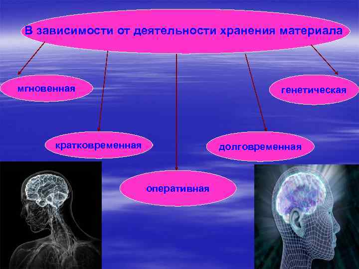 В зависимости от деятельности хранения материала мгновенная генетическая кратковременная долговременная оперативная 