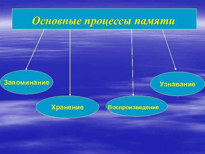 Основные процессы памяти Запоминание Узнавание Хранение Воспроизведение 