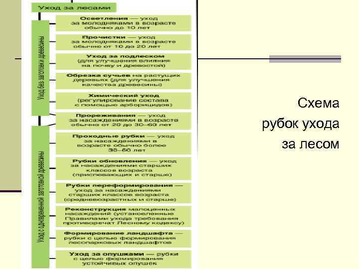 Схема рубок ухода за лесом 