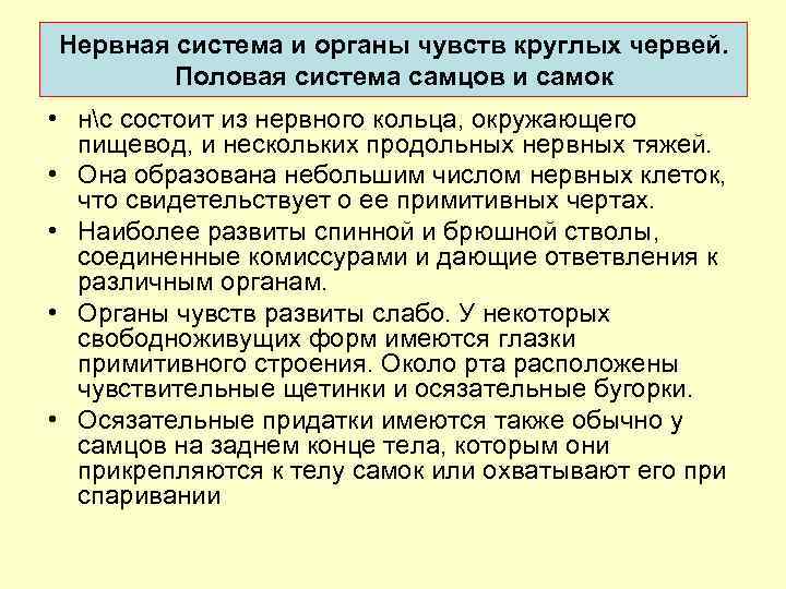 Неpвная система и оpганы чувств круглых червей. Половая система самцов и самок • нс