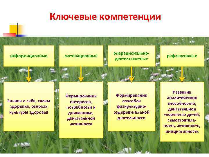 Ключевые компетенции информационные Знания о себе, своем здоровье, основах культуры здоровья мотивационные Формирование интересов,