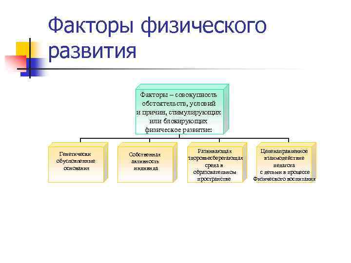 Факторы физического развития Факторы – совокупность обстоятельств, условий и причин, стимулирующих или блокирующих физическое