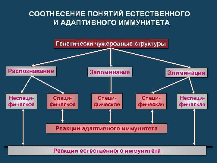 СООТНЕСЕНИЕ ПОНЯТИЙ ЕСТЕСТВЕННОГО И АДАПТИВНОГО ИММУНИТЕТА Генетически чужеродные структуры Распознавание Неспецифическое Запоминание Специфическое Элиминация