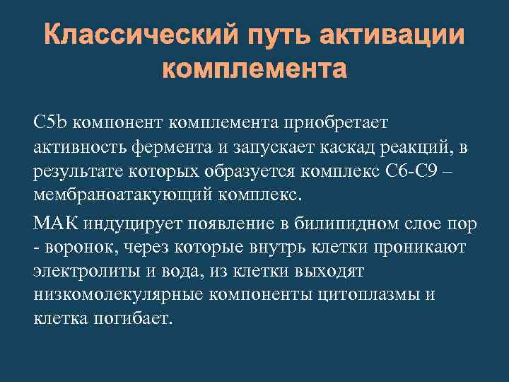 Классический путь активации комплемента С 5 b компонент комплемента приобретает активность фермента и запускает