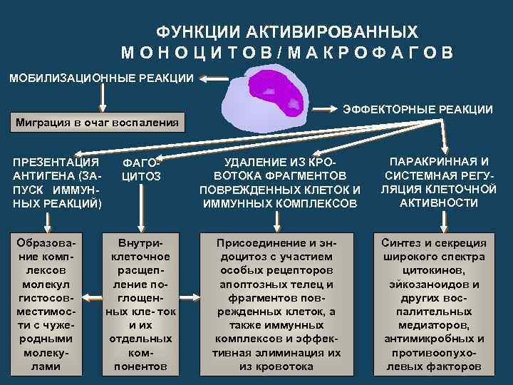 Виды воспаления презентация