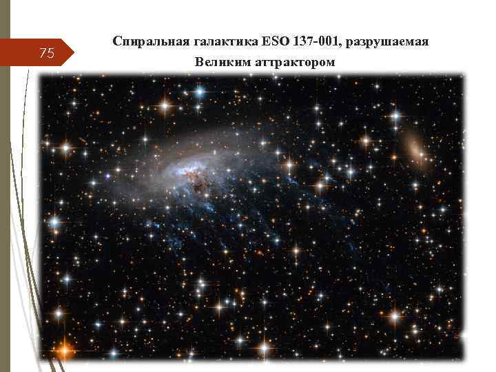 75 Спиральная галактика ESO 137 -001, разрушаемая Великим аттрактором 