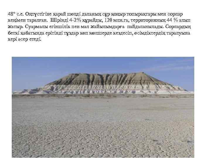48° с. е. Оңтүстігіне қарай шөлді даланың сұр қоңыр топырақтары мен сорлар кеңімен таралған.