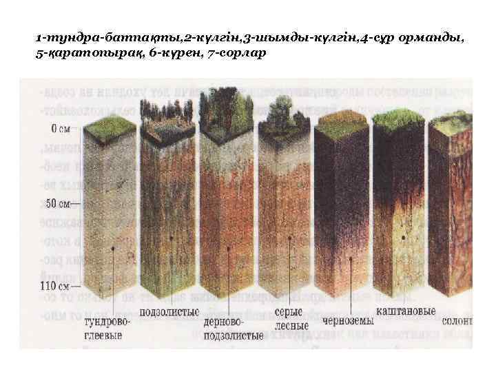 1 -тундра-батпақты, 2 -күлгін, 3 -шымды-күлгін, 4 -сұр орманды, 5 -қаратопырақ, 6 -күрен, 7