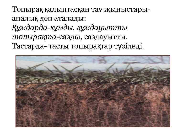 Топырақ қалыптасқан тау жыныстарыаналық деп аталады: Құмдарда-құмды, құмдауытты топырақта-сазды, саздауытты. Тастарда- тасты топырақтар түзіледі.