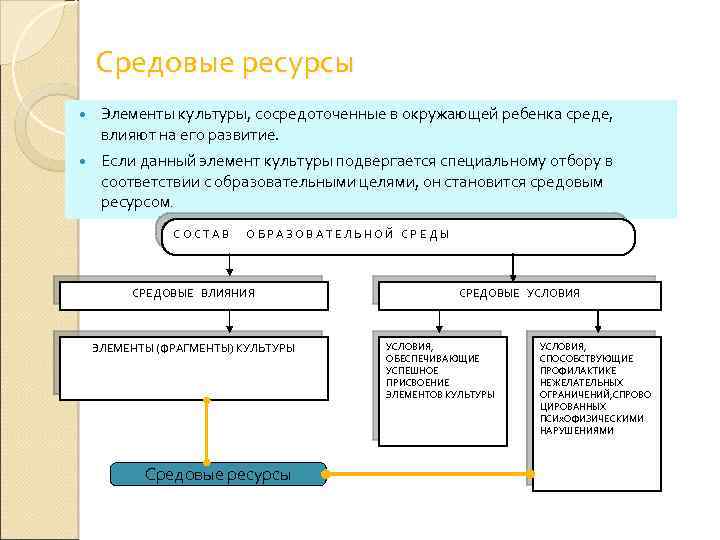 Средовые ресурсы Элементы культуры, сосредоточенные в окружающей ребенка среде, влияют на его развитие. Если