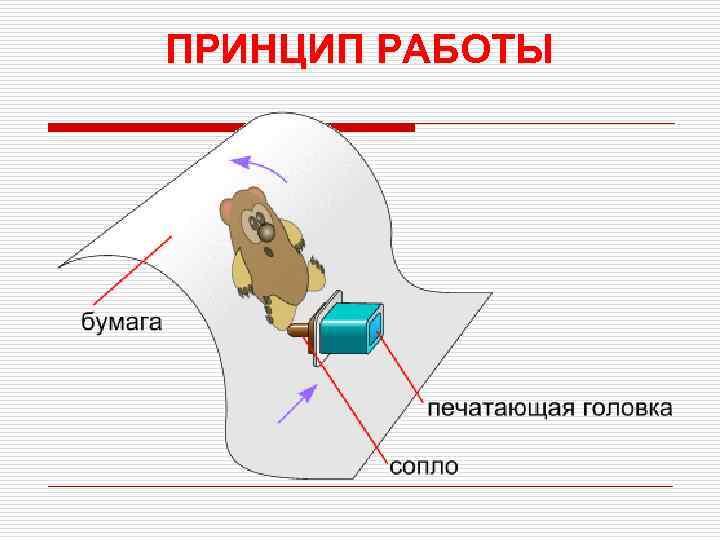 ПРИНЦИП РАБОТЫ 