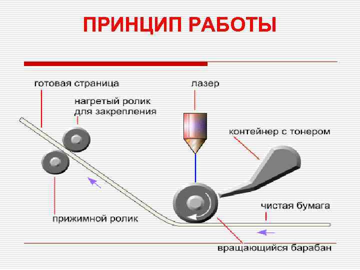 ПРИНЦИП РАБОТЫ 