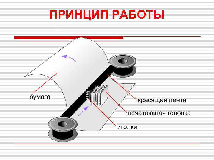 ПРИНЦИП РАБОТЫ 