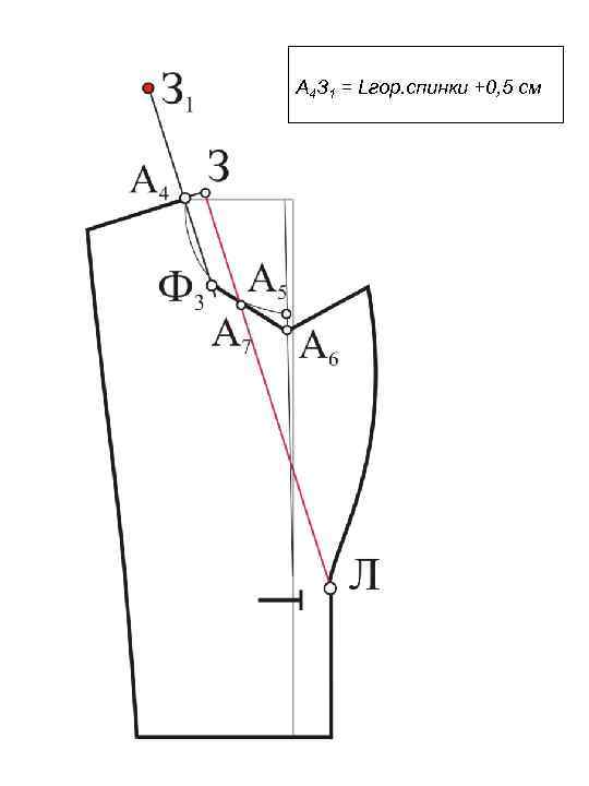А 4 З 1 = Lгор. спинки +0, 5 см 