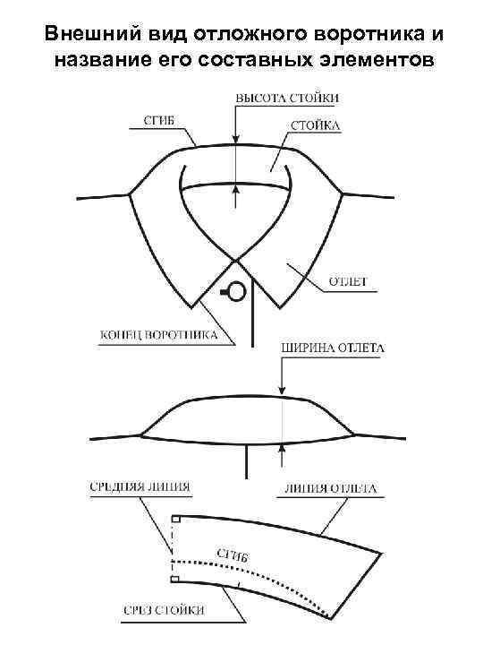 Внешний вид отложного воротника и название его составных элементов 