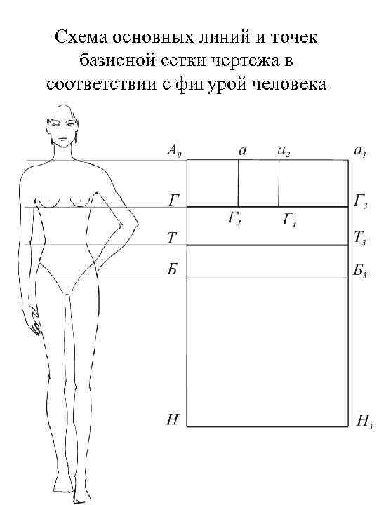 Схема основных линий и точек базисной сетки чертежа в соответствии с фигурой человека 