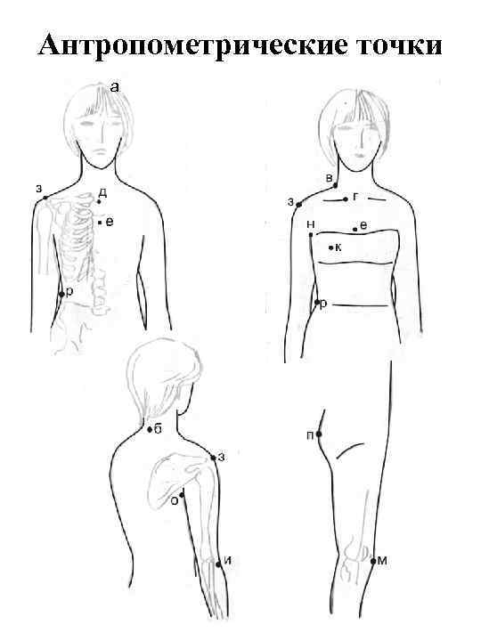 Антропометрические точки а 