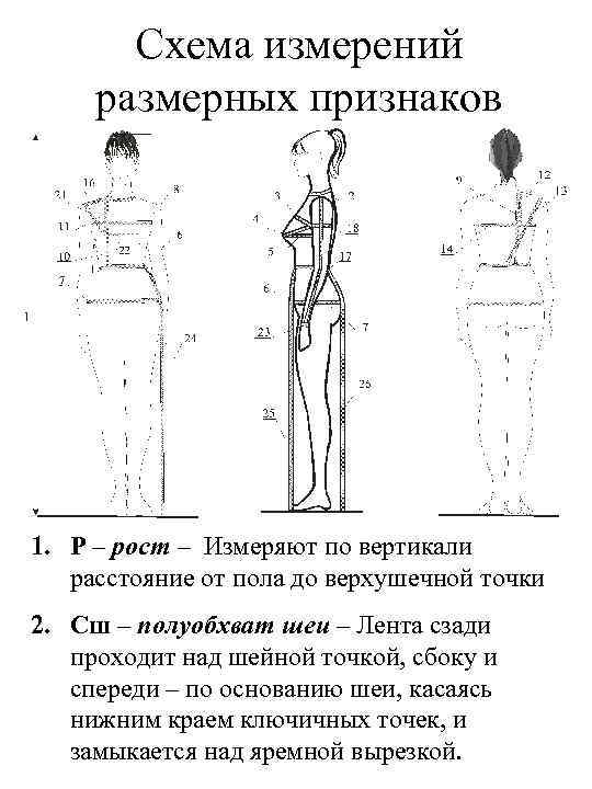 Схема измерений размерных признаков 1. Р – рост – Измеряют по вертикали расстояние от