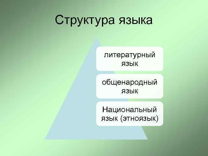 Структура языка литературный язык общенародный язык Национальный язык (этноязык) 