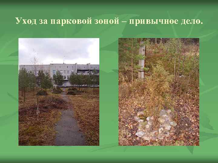 Уход за парковой зоной – привычное дело. 