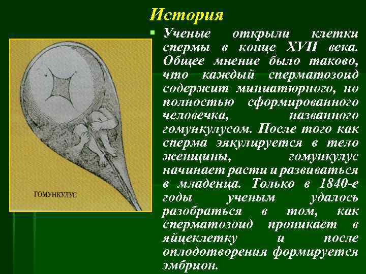 История § Ученые открыли клетки спермы в конце XVII века. Общее мнение было таково,