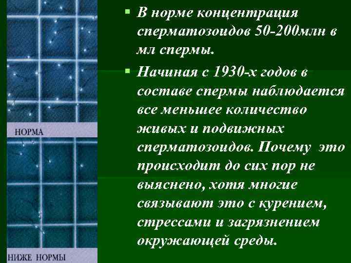 § В норме концентрация сперматозоидов 50 -200 млн в мл спермы. § Начиная с