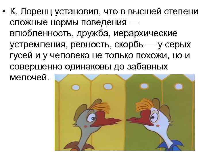  • К. Лоренц установил, что в высшей степени сложные нормы поведения — влюбленность,