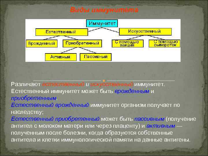 Виды иммунитета Различают естественный и искусственный иммунитет. Естественный иммунитет может быть врожденным и приобретенным.