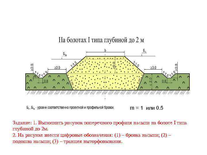 Ширина основания