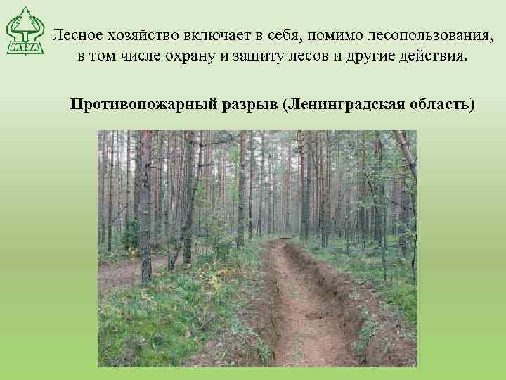 Лесное хозяйство включает в себя, помимо лесопользования, в том числе охрану и защиту лесов