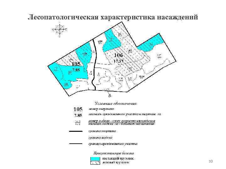 Лесопатологическая характеристика насаждений 10 