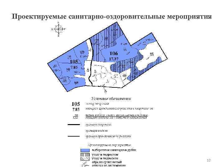 Проектируемые санитарно-оздоровительные мероприятия 12 