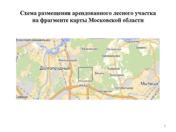 Схема размещения арендованного лесного участка на фрагменте карты Московской области 3 