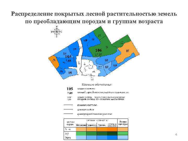 Распределение покрытых лесной растительностью земель по преобладающим породам и группам возраста 4 