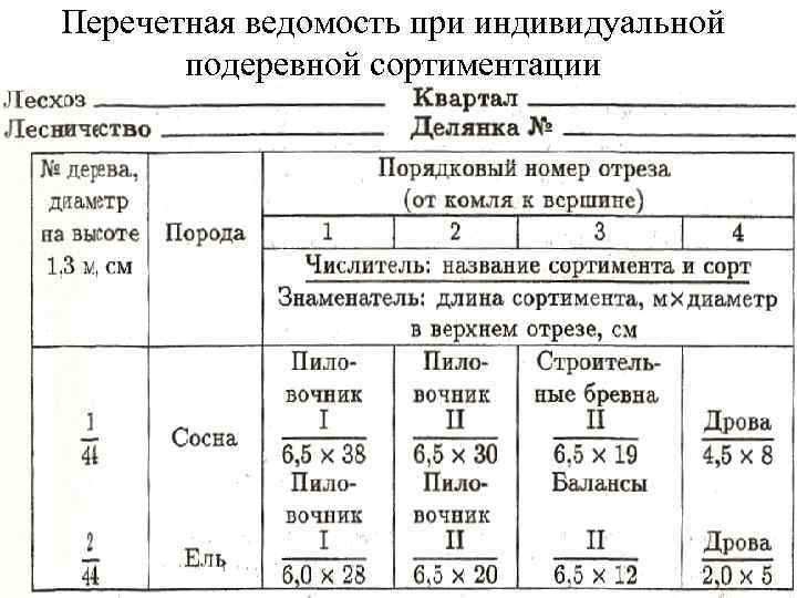 Перечетная ведомость при индивидуальной подеревной сортиментации 