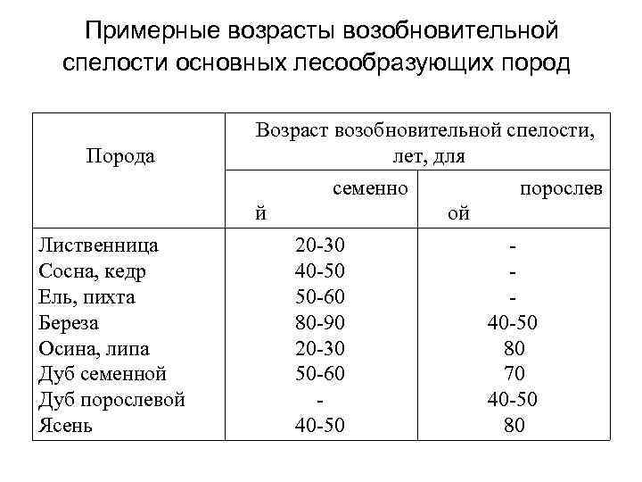 Примерный возраст. Возраст возобновительной спелости. Возраст спелости сосны. Возрасты рубок основных лесообразующих пород. Возраста спелости древесных пород.