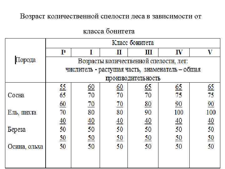 Возраст количественной спелости леса в зависимости от класса бонитета 