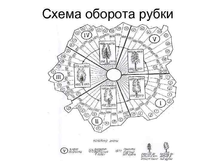 Схема оборота рубки 