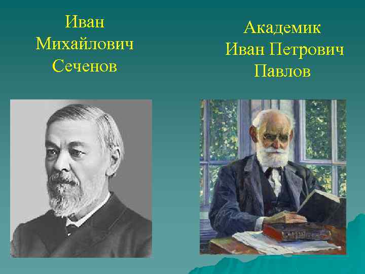 Иван Михайлович Сеченов Академик Иван Петрович Павлов 
