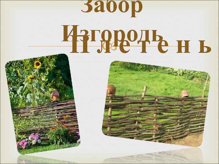  Забор Изгородь н ь Плете 